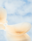 Product shot of reusable and sticky Silicone Stick-on Bra laying flat against mirrored sky background, close-up side shot of the Silicone Stick-on Bra showing the razor thin edges 